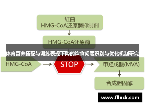 体育营养搭配与训练表现下降的饮食问题识别与优化机制研究